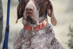 20260307_Pina-de-Ebro_ACG_086