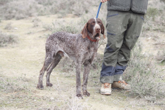 20260307_Pina-de-Ebro_ACG_090