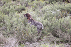 20260307_Pina-de-Ebro_ACG_091