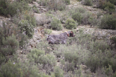 20260307_Pina-de-Ebro_ACG_094