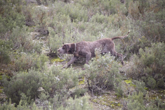 20260307_Pina-de-Ebro_ACG_101