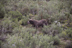 20260307_Pina-de-Ebro_ACG_104