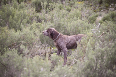 20260307_Pina-de-Ebro_ACG_106