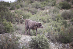 20260307_Pina-de-Ebro_ACG_110