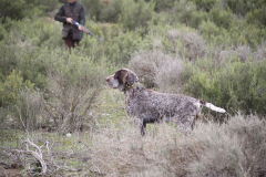 20260307_Pina-de-Ebro_ACG_121