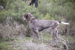 20260307_Pina-de-Ebro_ACG_126