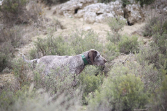 20260307_Pina-de-Ebro_ACG_138