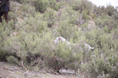 20260307_Pina-de-Ebro_ACG_141