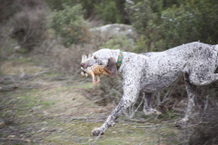 20260307_Pina-de-Ebro_ACG_143