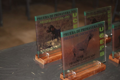 20260307_Pina-de-Ebro_ACG_196