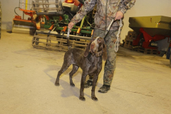 20260307_Pina-de-Ebro_ACG_244