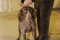 20260307_Pina-de-Ebro_ACG_257