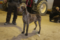 20260307_Pina-de-Ebro_ACG_263