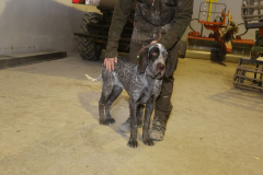 20260307_Pina-de-Ebro_ACG_271