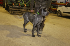 20260307_Pina-de-Ebro_ACG_273