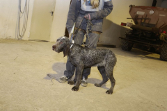 20260307_Pina-de-Ebro_ACG_276