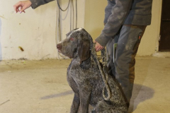 20260307_Pina-de-Ebro_ACG_278