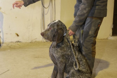 20260307_Pina-de-Ebro_ACG_279