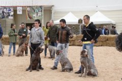 Calatayud_20150419_195