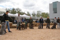 Calatayud_20150419_298