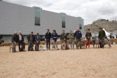 Calatayud_20150419_309
