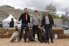 Calatayud_20150419_75