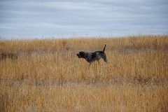 La Granja Descarp. 20140821