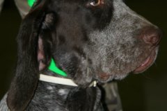 img_4686_2la_sequera