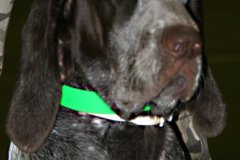 img_4687_1la_sequera