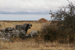 img_4732la_sequera