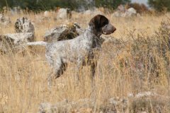 img_4737_1la_sequera