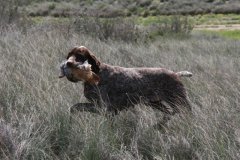 0076_lis-del-nastasi_javier-perucha