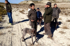 Prueba Caza Salvaje 09112014 en Pina de Ebro