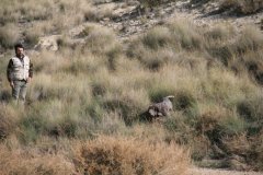 20141115_Epila_74