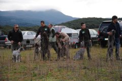Grupo_3