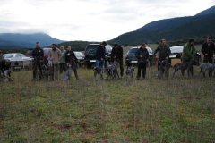 Grupo_5