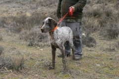20120303_0053terrer