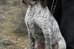 20120303_0056terrer