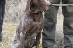 20120303_0064terrer