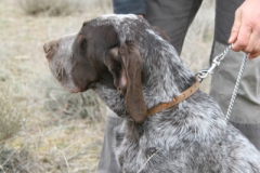 20120303_0068terrer
