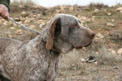 20120303_0080terrer