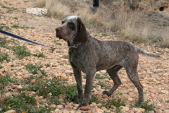 20120303_0097terrer