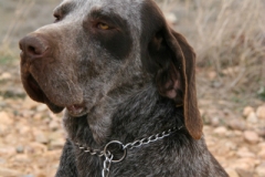 20120303_0101terrer