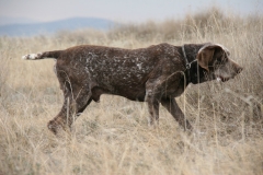 20120303_0132terrer