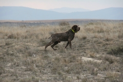20120303_0134terrer
