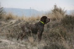 20120303_0137terrer