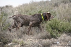 20120303_0142terrer