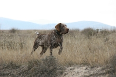 20120303_0154terrer