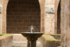 20120304_0004terrer