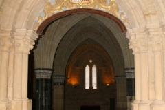 20120304_0026terrer